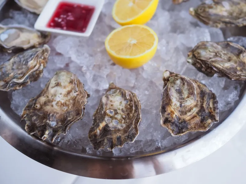 Empty Shells: The Forces Draining America's Oyster Bars Dry